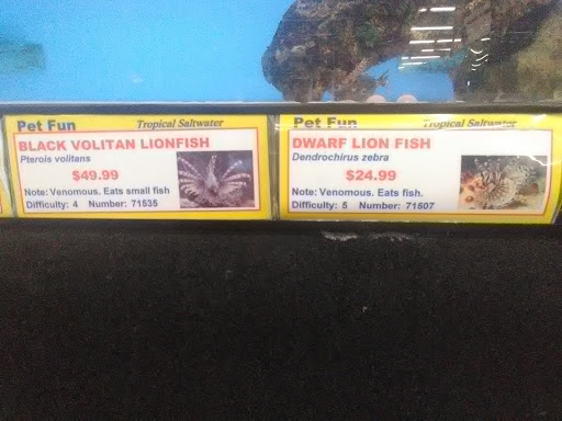 Pet Supply Store «Pet Fun At Harden Ranch Plz», reviews and photos, 1780 N Main St, Salinas, CA 93906, USA