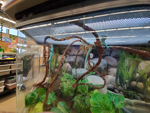 Pet Supply Store «Petco Animal Supplies», reviews and photos, 1320 E Lincoln Way p101, Sparks, NV 89434, USA