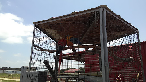 Ranch «Sharkarosa Wildlife Ranch», reviews and photos, 11670 Massey Rd, Pilot Point, TX 76258, USA