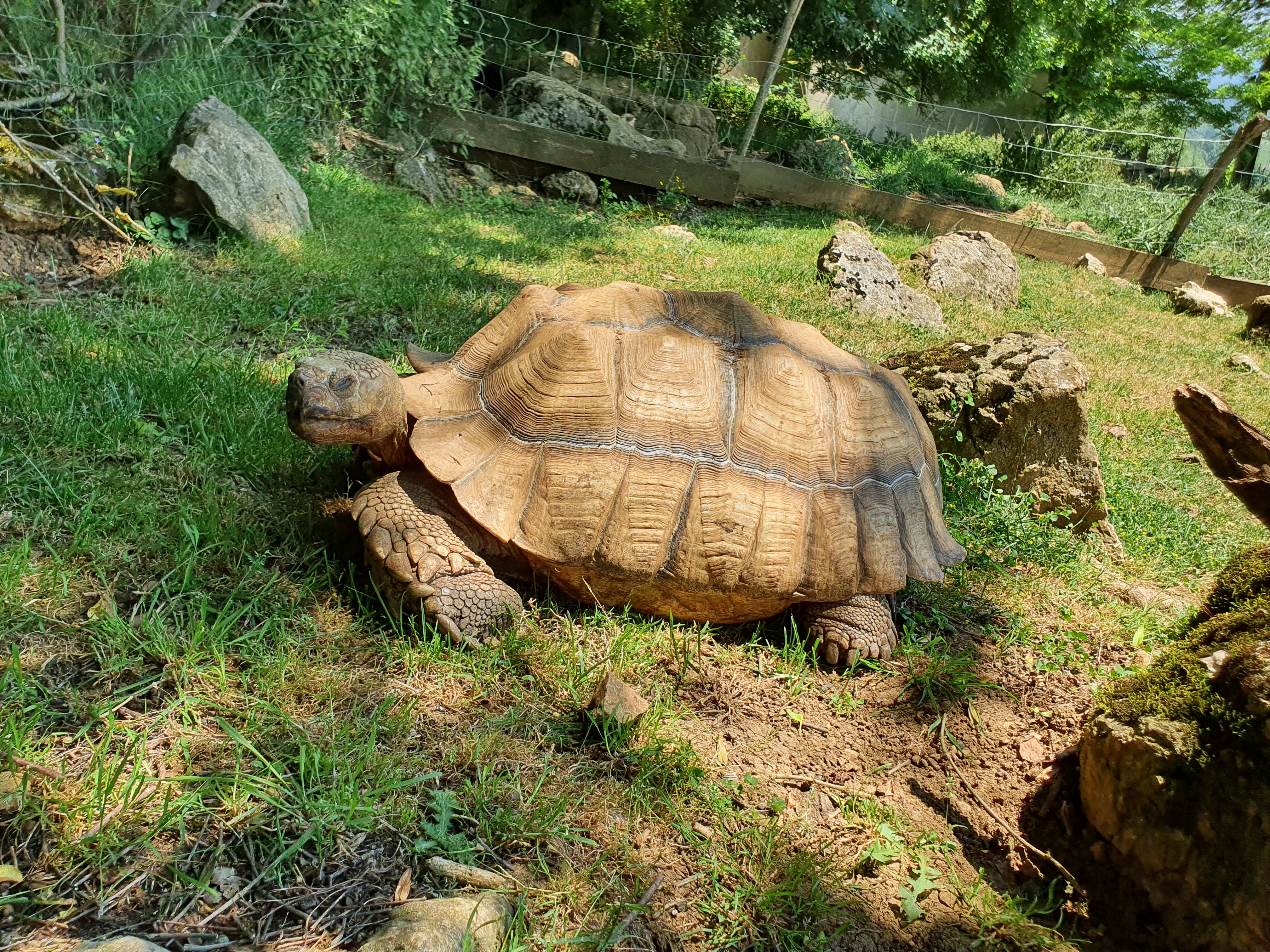 Photo n° 2 de l'avis de Sandra. fait le 13/06/2021 à 10:19