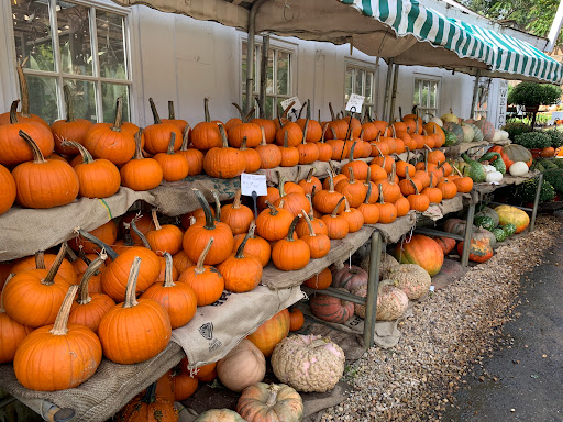 Garden Center «Ivy Corner Garden Center Gift Shop», reviews and photos, 4305 Ivy Rd, Charlottesville, VA 22903, USA