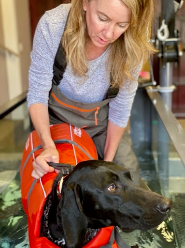 Animal Rehabilitation Center of Western Colorado image