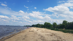 Bay City State Park Beach'in fotoğrafı - rahatlamayı sevenler arasında popüler bir yer