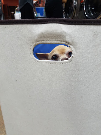 Laundromat «Wash N Go Laundry», reviews and photos, 2885 El Cajon Blvd, San Diego, CA 92104, USA