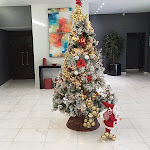 Photo n°4 de l'avis de Jan.i fait le 30/12/2023 à 17:31 sur le  RR Hotel da Rocha à Portimão