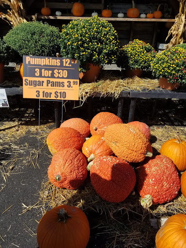 Produce Market «Frecon Farms», reviews and photos, 501 S Reading Ave, Boyertown, PA 19512, USA