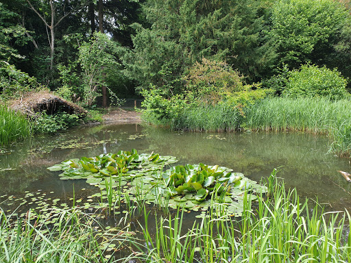 Wildpark Düsseldorf Grafenberg