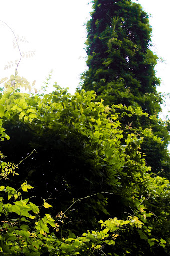 Nature Preserve «Kelley Nature Preserve», reviews and photos, 297 OH-126, Loveland, OH 45140, USA