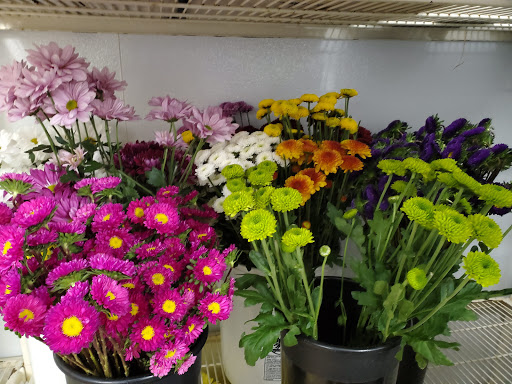 Florist «Up-Towne Flowers & Gift Shoppe», reviews and photos, 2145 W Dublin Granville Rd, Worthington, OH 43085, USA