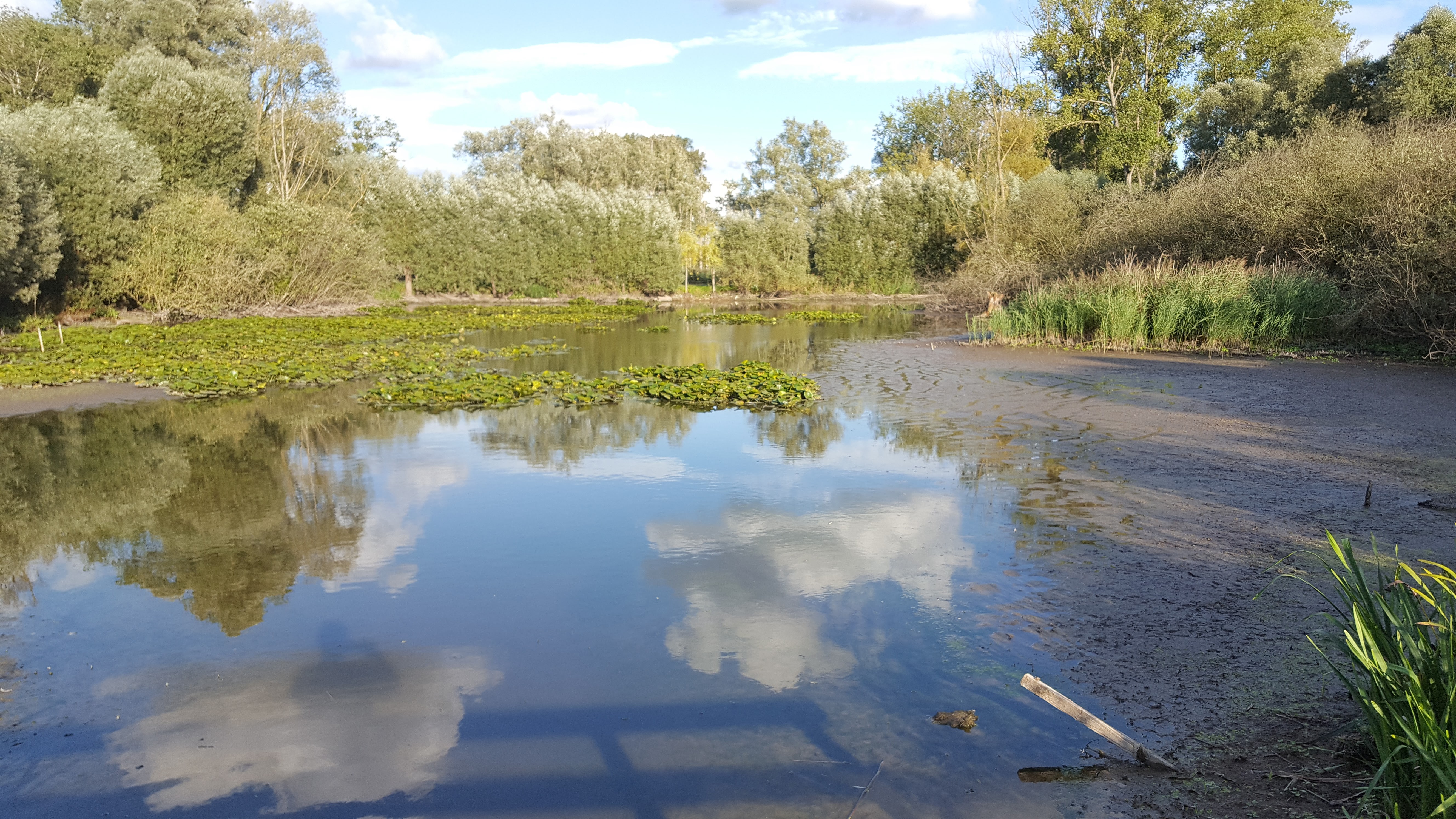 Photo n° 2 de l'avis de M.I fait le 14/09/2017 à 14:22