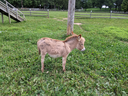 Farm «Alstede Farms», reviews and photos, 1 Alstede Farms Ln, Chester, NJ 07930, USA
