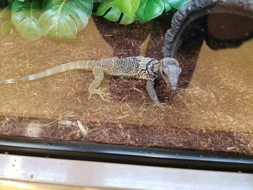 Pet Supply Store «Petco Animal Supplies», reviews and photos, 101 Hale Rd, Manchester, CT 06042, USA