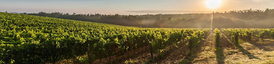 Domaine de Polignac à Gondrin