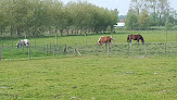 Espace Equestre Haras - Henson Saint-Quentin-en-Tourmont