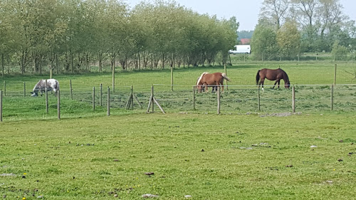 Espace Equestre Haras - Henson à Saint-Quentin-en-Tourmont