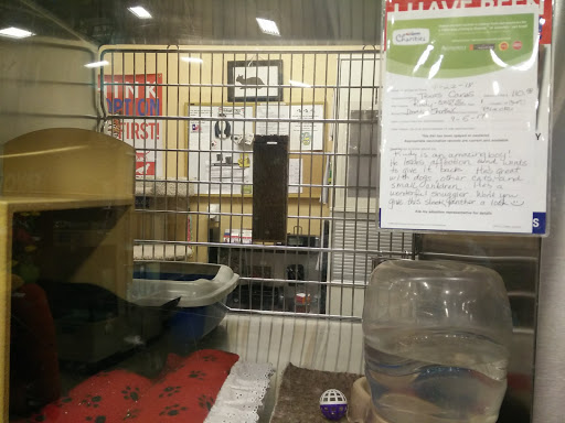 Pet Supply Store «PetSmart», reviews and photos, 6204 W Park Blvd, Plano, TX 75093, USA