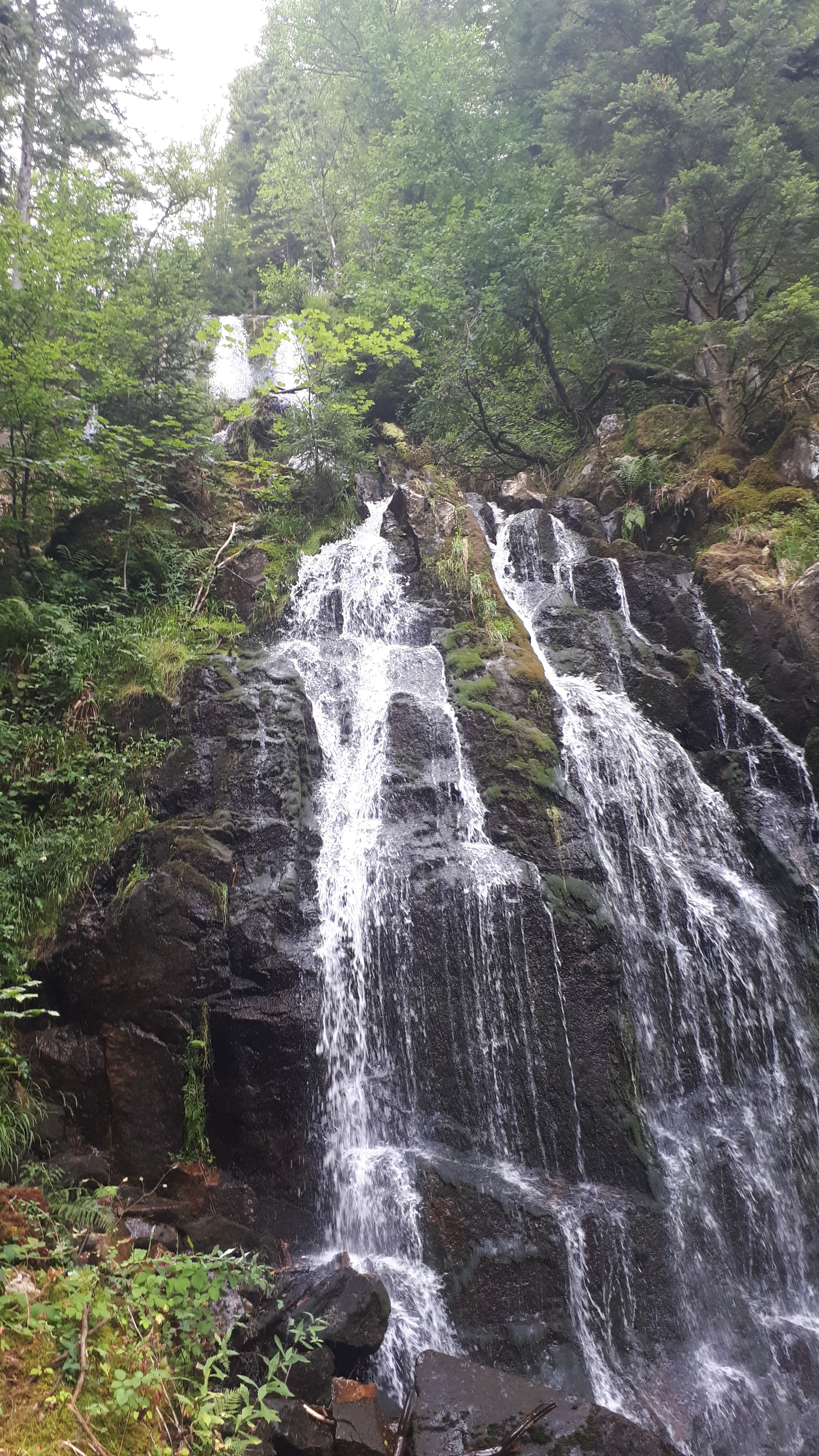 Photo n° 1 de l'avis de vincent.o fait le 11/08/2019 à 20:26
