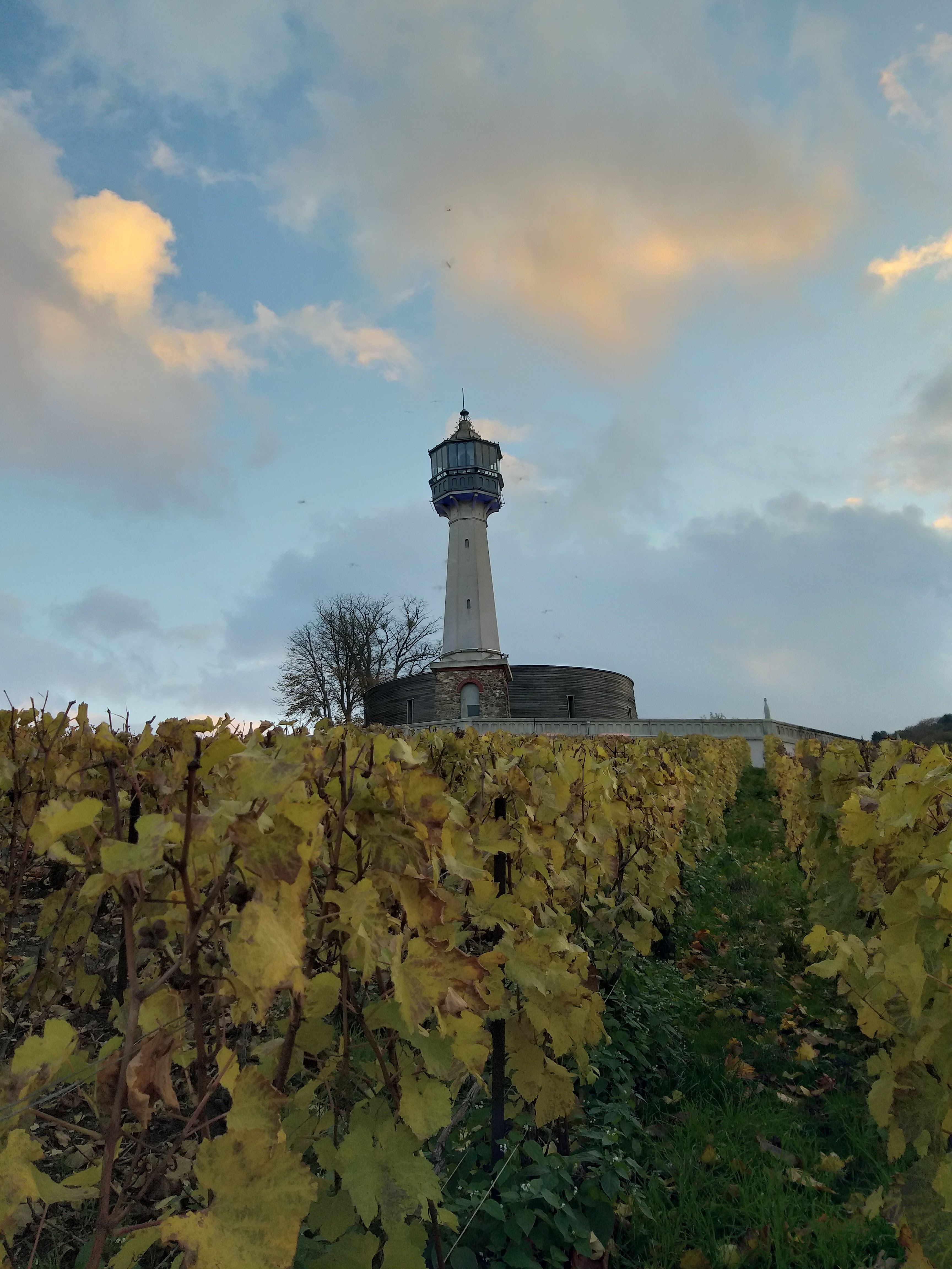 Photo n° 5 de l'avis de Elodie. fait le 23/11/2019 à 20:54