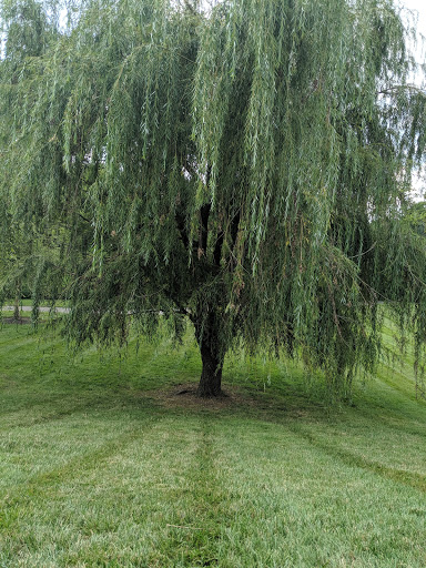 Park «Stringtown Park», reviews and photos, 7340 Burlington Pike, Florence, KY 41042, USA