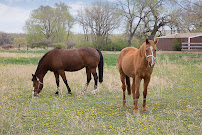 BSG Real Estate Solutions - Photo 7 - Car repair in Billings, MT, Billings