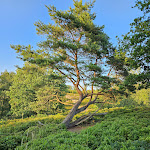 Photo n°1 de l'avis de Tobias.. fait le 27/07/2023 à 09:56 sur le  Café & Restaurant Am Boxberg à Aukrug