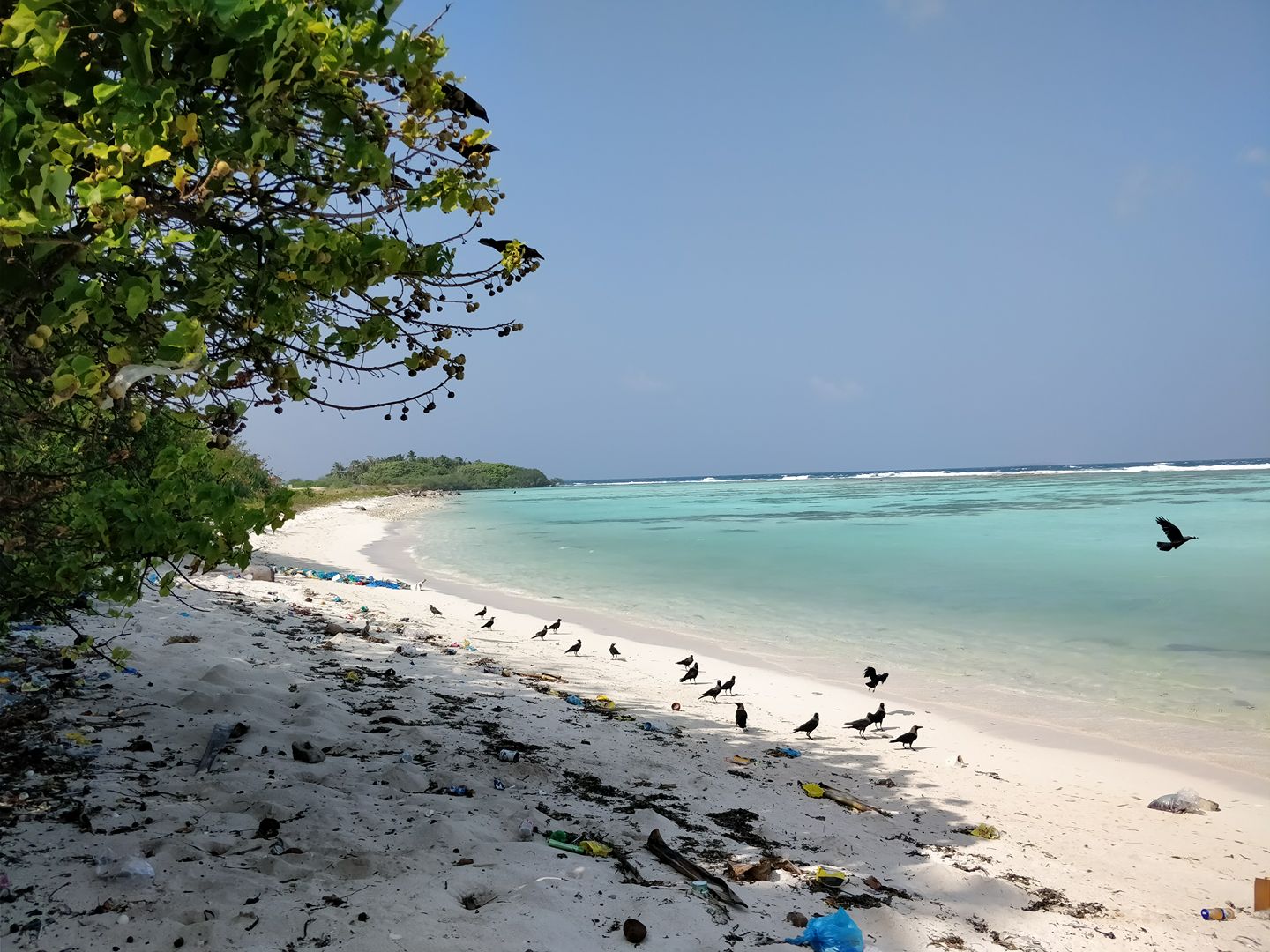 Fotografie cu Nevi Manadhoo Beach cu o suprafață de nisip strălucitor