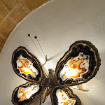 Photo n°11 de l'avis de Melides.y fait le 07/05/2023 à 08:56 sur le  Vermelho Melides à Melides