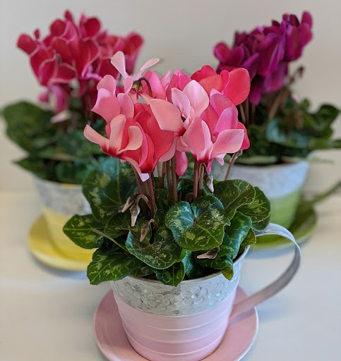 Florist «Sunnywoods Florist», reviews and photos, 251 Main Street, Chatham, NJ 07928, USA