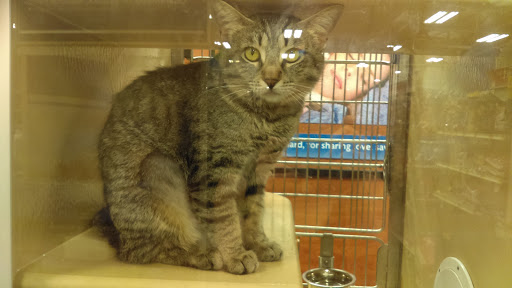 Pet Supply Store «PetSmart», reviews and photos, 2141 N Rose Ave, Oxnard, CA 93036, USA