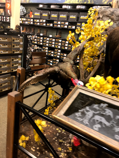 Outdoor Sports Store «Field & Stream», reviews and photos, 5215 Century Ave, Kalamazoo, MI 49006, USA