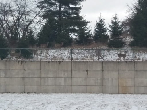 Memorial Park «Veterans Memorial Park», reviews and photos, 7619 Memphis Ave, Brooklyn, OH 44144, USA