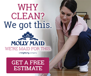 House Cleaning Service «MOLLY MAID of Central Somerset, Mercer & NW Jersey», reviews and photos, 150 West End Ave #2, Somerville, NJ 08876, USA
