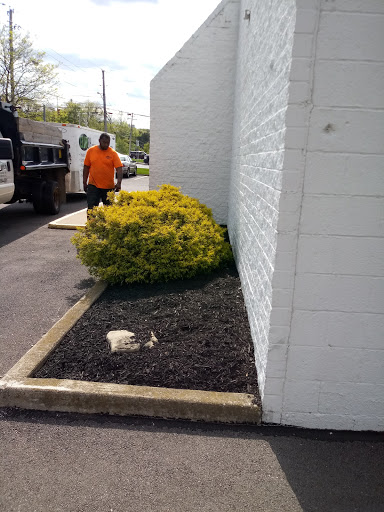 Auto Repair Shop «Rad Air Complete Car Care and Tire Centers», reviews and photos, 7893 Broadview Rd, Seven Hills, OH 44131, USA