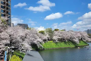 Chidorigafuchi Park image