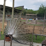 Photo n° 2 de l'avis de stefan.e fait le 16/05/2018 à 00:38 pour Parc du Griffon à Caubon-Saint-Sauveur