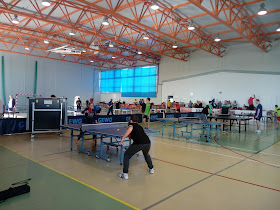 Sala de sport "Gabriel Udisteanu"