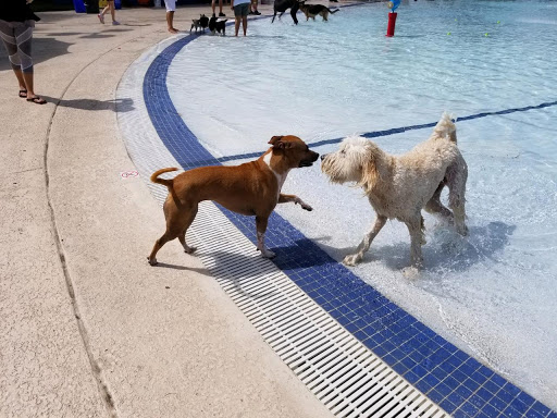 Water Park «Splash Adventure Water Park», reviews and photos, Quiet Waters Park Dr, Deerfield Beach, FL 33442, USA