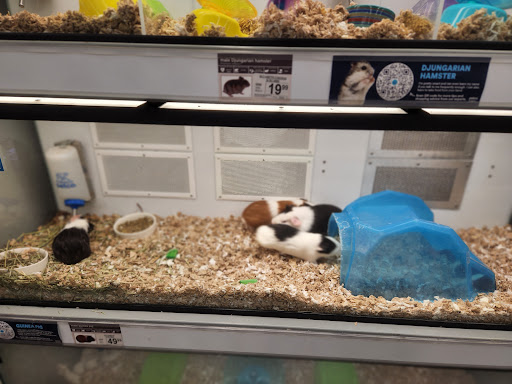 Pet Supply Store «Petco Animal Supplies», reviews and photos, 5925 US-6, Portage, IN 46368, USA
