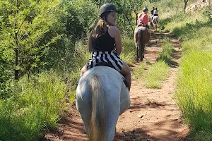 Harties Horse and Trails Unlimited image