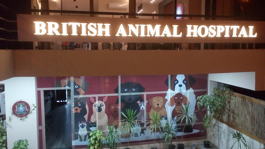 المستشفي البريطاني للحيوانات