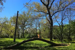 Parco Lungosavena image