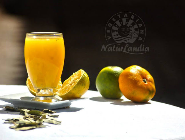 Comentarii opinii despre Naturlandia -Cusco, Vegetarian and Vegan