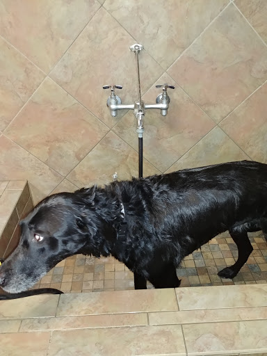 Pet Supply Store «Pet Valu», reviews and photos, 18115 Town Center Dr, Olney, MD 20832, USA