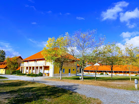 Wellness Park Panzió & Camping