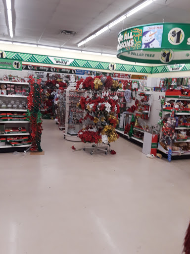 Dollar Store «Dollar Tree», reviews and photos, 2305 Colorado Blvd, Denton, TX 76205, USA