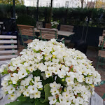 Photo n°6 de l'avis de YC.o fait le 14/10/2019 à 11:06 sur le  Remise Bonn à Bonn