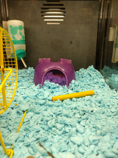 Pet Supply Store «PetSmart», reviews and photos, 3520 S El Camino Real, San Mateo, CA 94403, USA