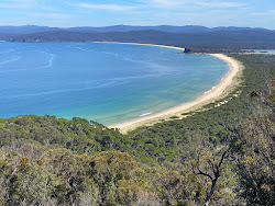 Wonboyn Beach'in fotoğrafı vahşi alan