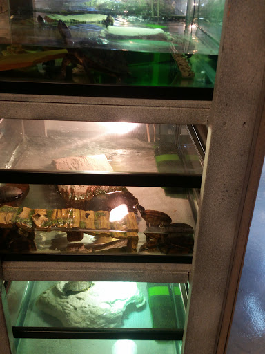 Pet Store «Exotic Pets», reviews and photos, 2410 N Decatur Blvd #160, Las Vegas, NV 89108, USA