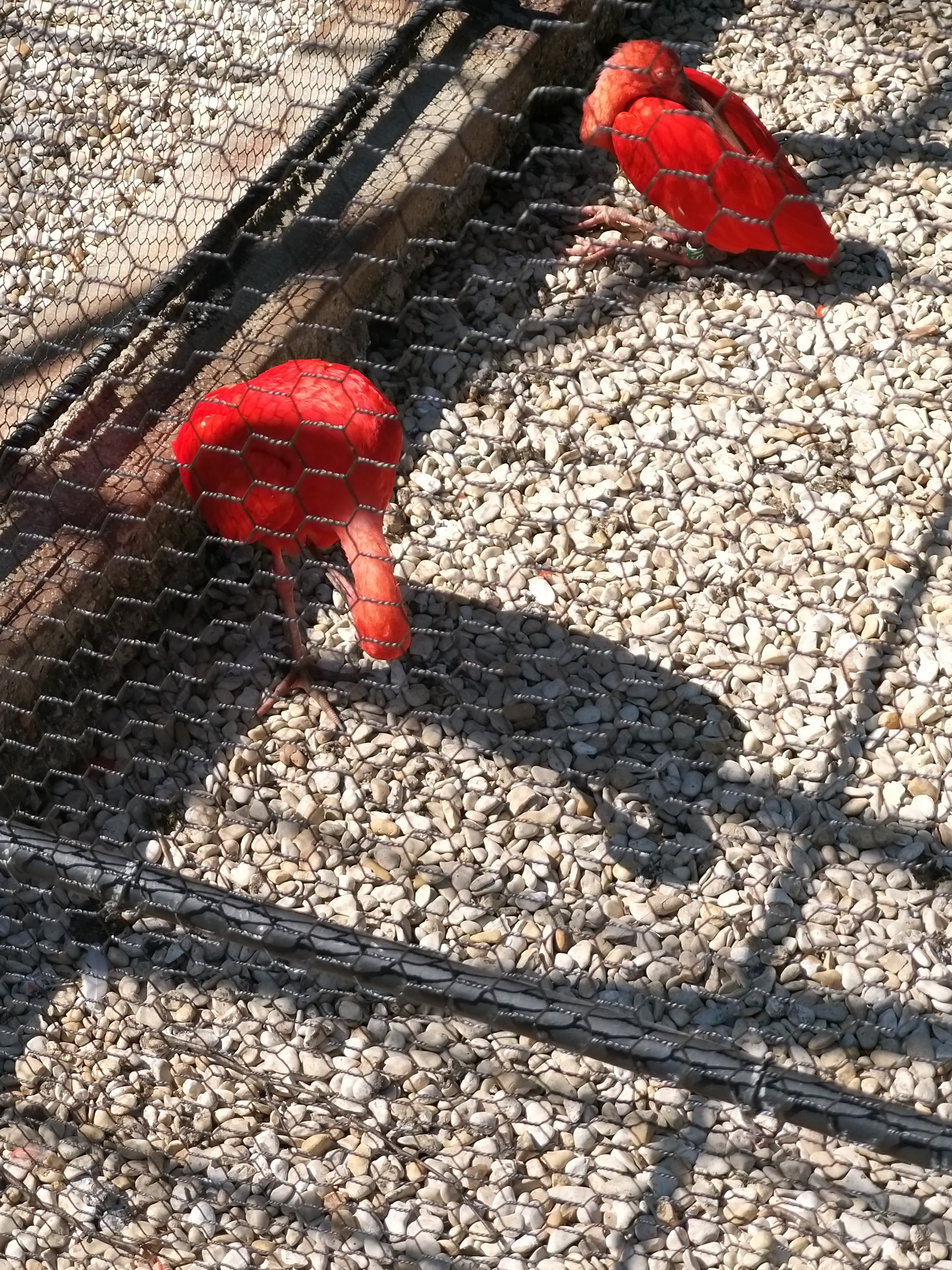 Photo n° 7 de l'avis de Angelique.a fait le 25/08/2019 à 15:14